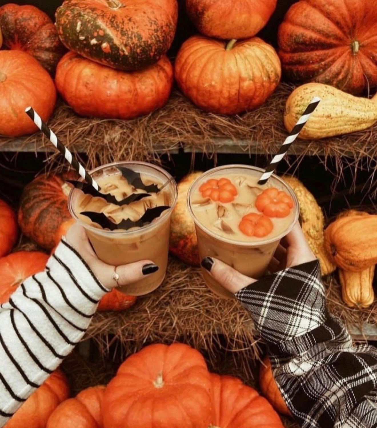 The Fall Collection